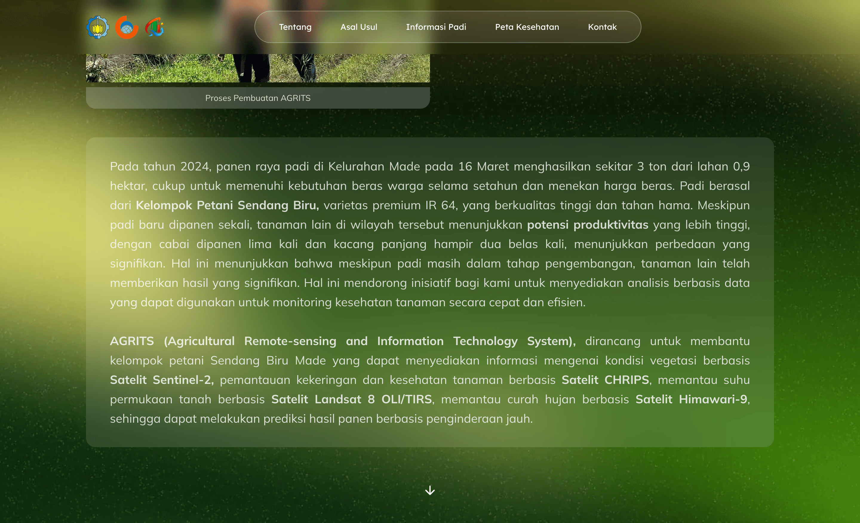 Project screenshot 4