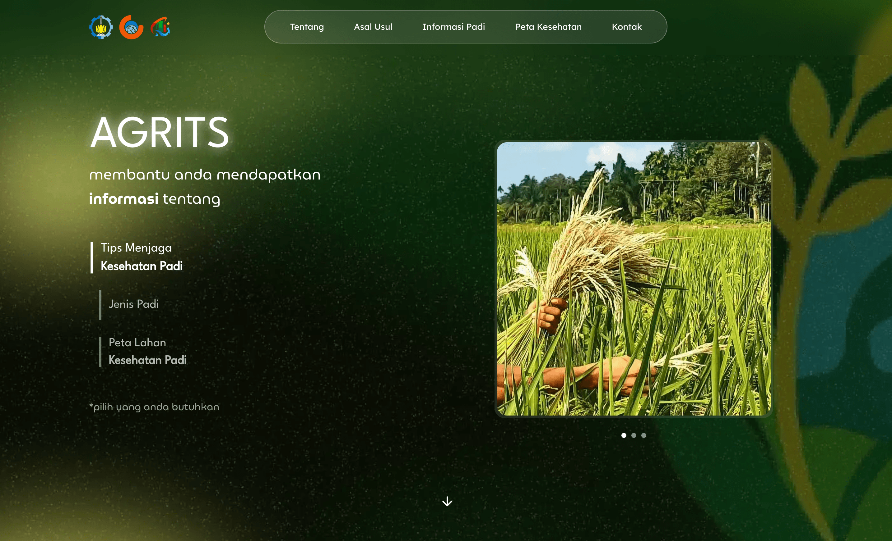 Project screenshot 5