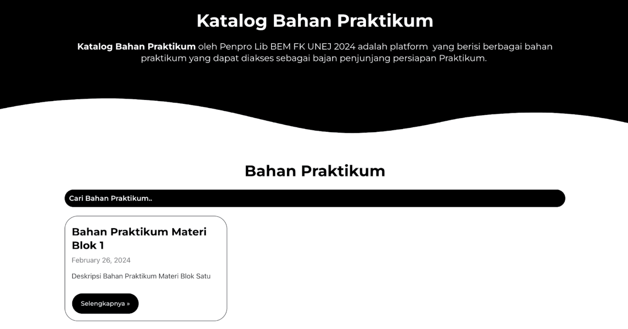 Project screenshot 8