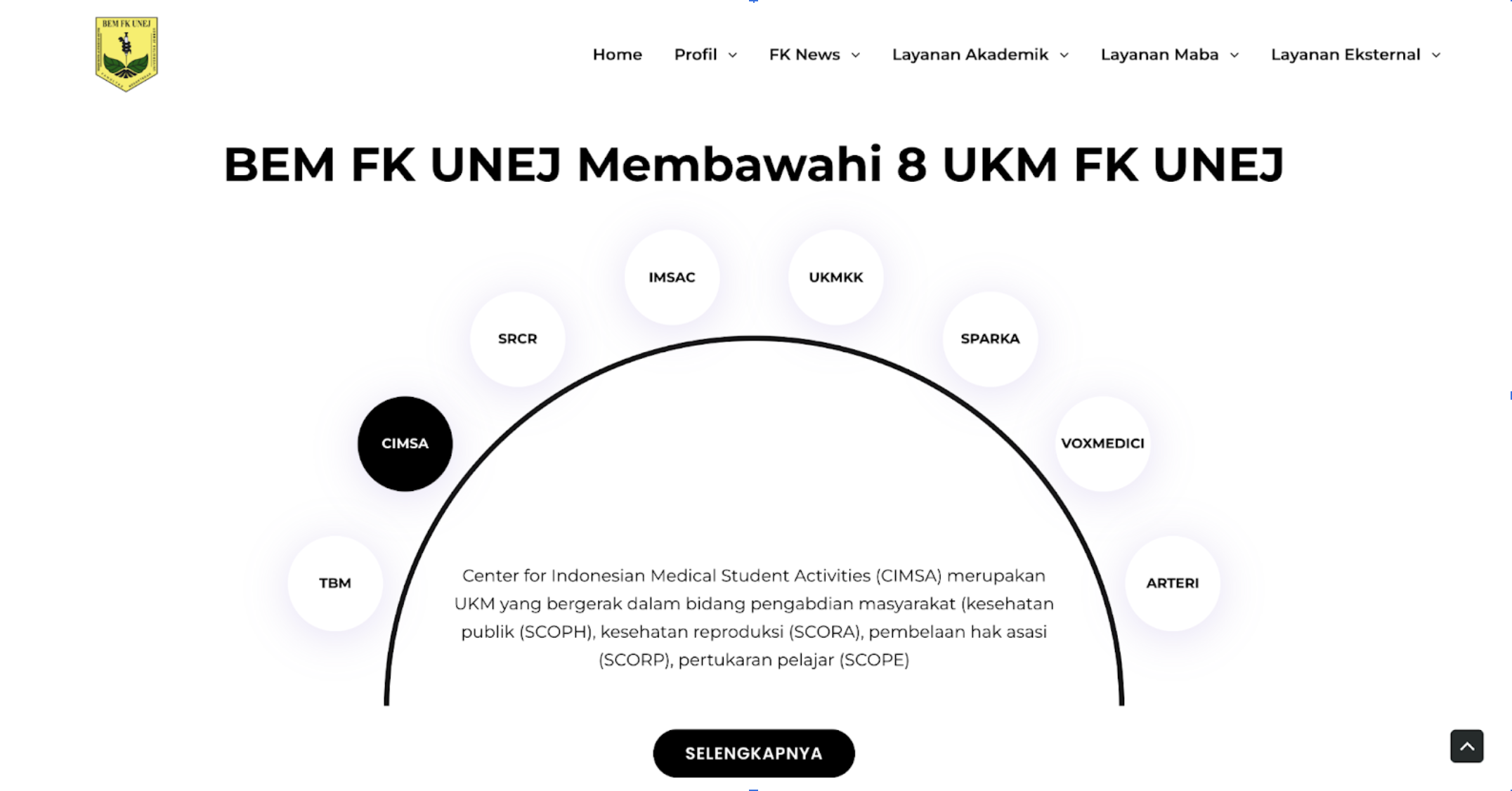 Website Developer screenshot 2